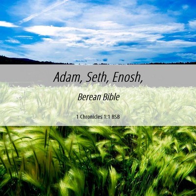 Picture 06 - 1 Chronicles 1:1 BSB - Adam, Seth, - Bible Verse Picture
