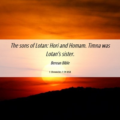 Picture 06 - 1 Chronicles 1:39 BSB - The sons of Lotan: Hori and Homam. Timna was - Bible Verse Picture
