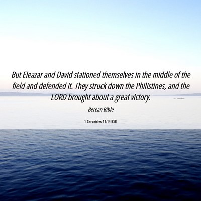Picture 06 - 1 Chronicles 11:14 BSB - But Eleazar and David stationed themselves in the - Bible Verse Picture