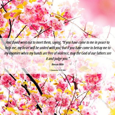 Picture 06 - 1 Chronicles 12:17 BSB - And David went out to meet them, saying, “If - Bible Verse Picture