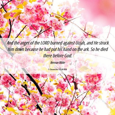 Picture 06 - 1 Chronicles 13:10 BSB - And the anger of the LORD burned against Uzzah, - Bible Verse Picture