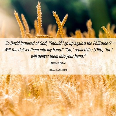 Picture 06 - 1 Chronicles 14:10 BSB - So David inquired of God, “Should I go up - Bible Verse Picture