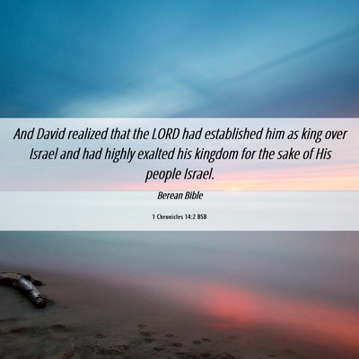 Picture 06 - 1 Chronicles 14:2 BSB - And David realized that the LORD had established - Bible Verse Picture