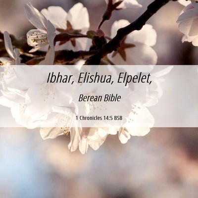 Picture 06 - 1 Chronicles 14:5 BSB - Ibhar, Elishua, - Bible Verse Picture
