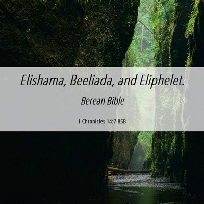 Picture 06 - 1 Chronicles 14:7 BSB - Elishama, Beeliada, and - Bible Verse Picture