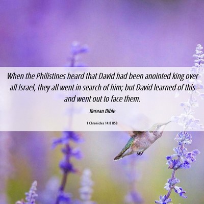 Picture 06 - 1 Chronicles 14:8 BSB - When the Philistines heard that David had been - Bible Verse Picture