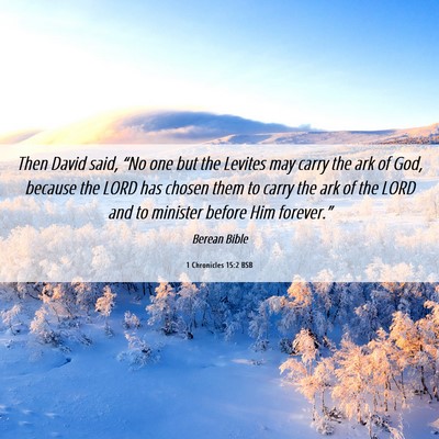 Picture 06 - 1 Chronicles 15:2 BSB - Then David said, “No one but the Levites may - Bible Verse Picture