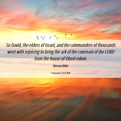 Picture 06 - 1 Chronicles 15:25 BSB - So David, the elders of Israel, and the - Bible Verse Picture