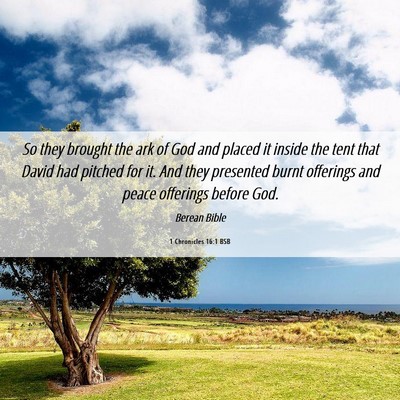 Picture 06 - 1 Chronicles 16:1 BSB - So they brought the ark of God and placed it - Bible Verse Picture