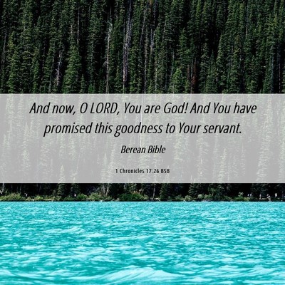 Picture 06 - 1 Chronicles 17:26 BSB - And now, O LORD, You are God! And You have - Bible Verse Picture
