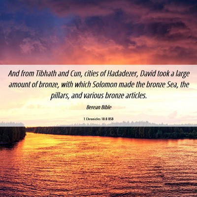 Picture 06 - 1 Chronicles 18:8 BSB - And from Tibhath and Cun, cities of Hadadezer, - Bible Verse Picture