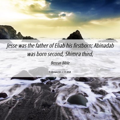 Picture 06 - 1 Chronicles 2:13 BSB - Jesse was the father of Eliab his firstborn; - Bible Verse Picture