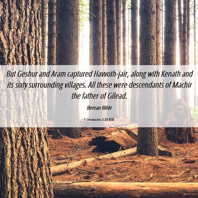 Picture 06 - 1 Chronicles 2:23 BSB - But Geshur and Aram captured Havvoth-jair, along - Bible Verse Picture