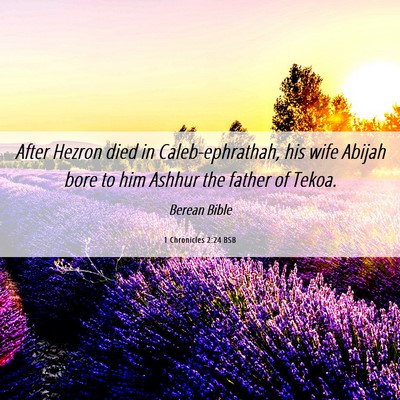Picture 06 - 1 Chronicles 2:24 BSB - After Hezron died in Caleb-ephrathah, his wife - Bible Verse Picture