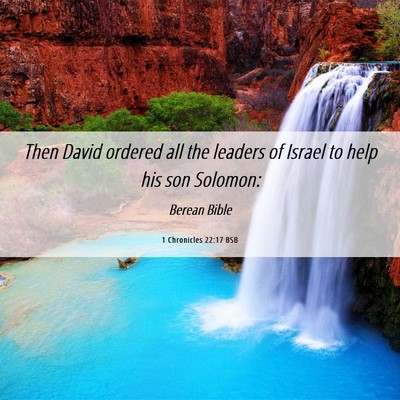 Picture 06 - 1 Chronicles 22:17 BSB - Then David ordered all the leaders of Israel to - Bible Verse Picture