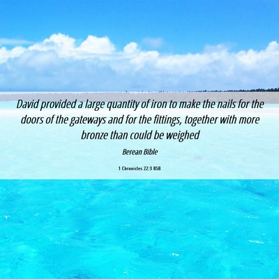 Picture 06 - 1 Chronicles 22:3 BSB - David provided a large quantity of iron to make - Bible Verse Picture
