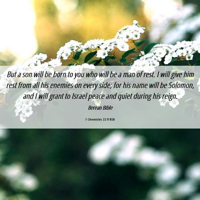 Picture 06 - 1 Chronicles 22:9 BSB - But a son will be born to you who will be a man - Bible Verse Picture