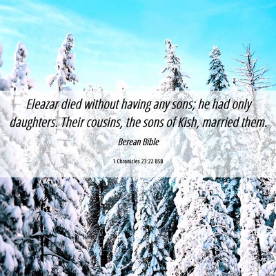 Picture 06 - 1 Chronicles 23:22 BSB - Eleazar died without having any sons; he had only - Bible Verse Picture