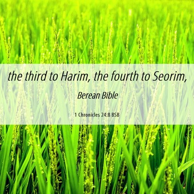 Picture 06 - 1 Chronicles 24:8 BSB - the third to Harim, the fourth to - Bible Verse Picture