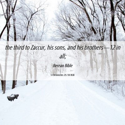 Picture 06 - 1 Chronicles 25:10 BSB - the third to Zaccur, his sons, and his - Bible Verse Picture