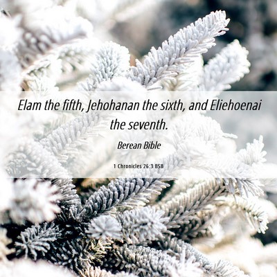 Picture 06 - 1 Chronicles 26:3 BSB - Elam the fifth, Jehohanan the sixth, and - Bible Verse Picture