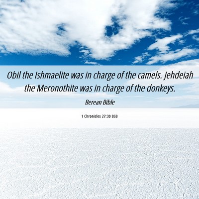 Picture 06 - 1 Chronicles 27:30 BSB - Obil the Ishmaelite was in charge of the camels. - Bible Verse Picture