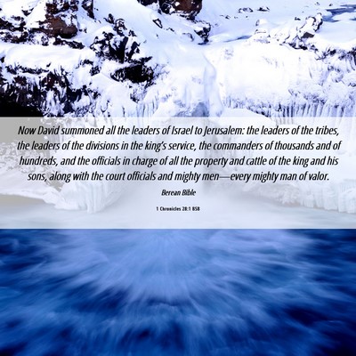 Picture 06 - 1 Chronicles 28:1 BSB - Now David summoned all the leaders of Israel to - Bible Verse Picture