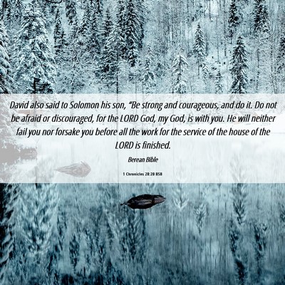 Picture 06 - 1 Chronicles 28:20 BSB - David also said to Solomon his son, “Be strong - Bible Verse Picture