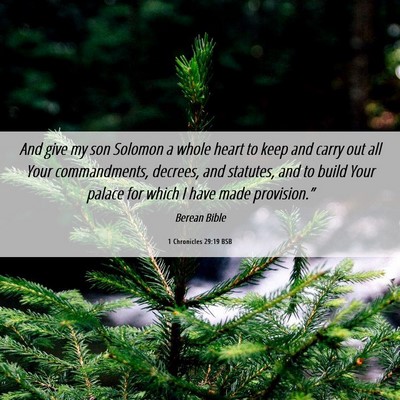 Picture 06 - 1 Chronicles 29:19 BSB - And give my son Solomon a whole heart to keep and - Bible Verse Picture
