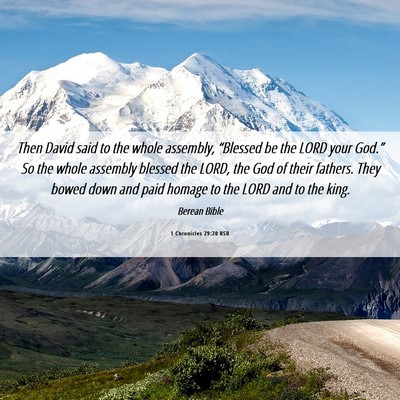 Picture 06 - 1 Chronicles 29:20 BSB - Then David said to the whole assembly, “Blessed - Bible Verse Picture