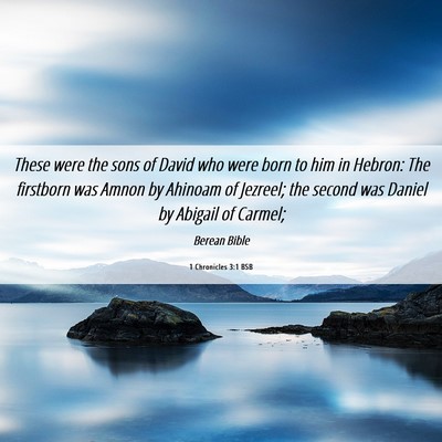 Picture 06 - 1 Chronicles 3:1 BSB - These were the sons of David who were born to him - Bible Verse Picture