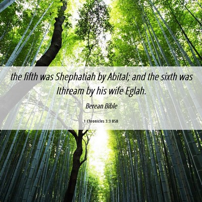 Picture 06 - 1 Chronicles 3:3 BSB - the fifth was Shephatiah by Abital; and the sixth - Bible Verse Picture