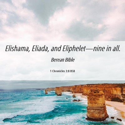 Picture 06 - 1 Chronicles 3:8 BSB - Elishama, Eliada, and Eliphelet—nine in - Bible Verse Picture