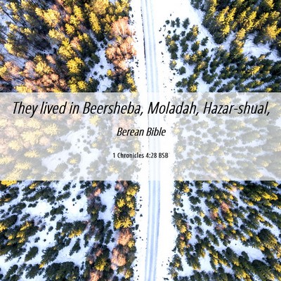 Picture 06 - 1 Chronicles 4:28 BSB - They lived in Beersheba, Moladah, - Bible Verse Picture