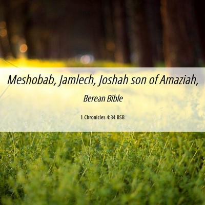 Picture 06 - 1 Chronicles 4:34 BSB - Meshobab, Jamlech, Joshah son of - Bible Verse Picture
