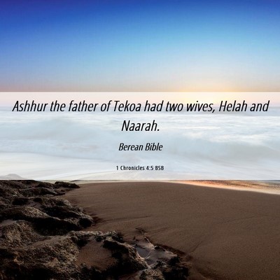 Picture 06 - 1 Chronicles 4:5 BSB - Ashhur the father of Tekoa had two wives, Helah - Bible Verse Picture