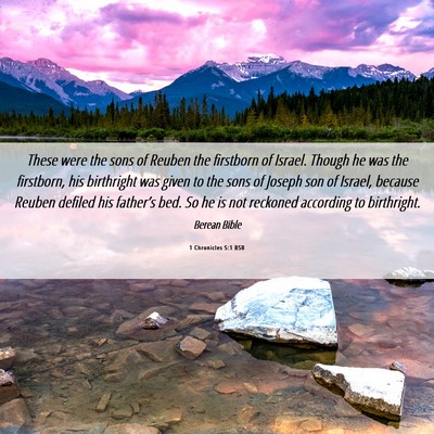 Picture 06 - 1 Chronicles 5:1 BSB - These were the sons of Reuben the firstborn of - Bible Verse Picture