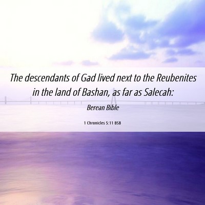 Picture 06 - 1 Chronicles 5:11 BSB - The descendants of Gad lived next to the - Bible Verse Picture