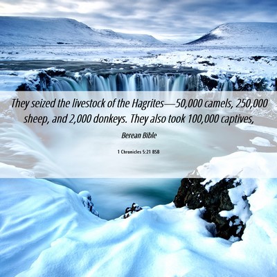 Picture 06 - 1 Chronicles 5:21 BSB - They seized the livestock of the - Bible Verse Picture