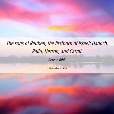 Picture 06 - 1 Chronicles 5:3 BSB - The sons of Reuben, the firstborn of Israel: - Bible Verse Picture