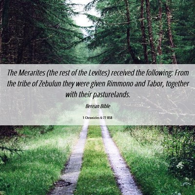 Picture 06 - 1 Chronicles 6:77 BSB - The Merarites (the rest of the Levites) received - Bible Verse Picture