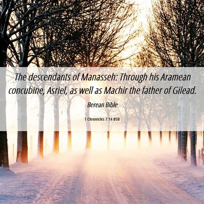 Picture 06 - 1 Chronicles 7:14 BSB - The descendants of Manasseh: Through his Aramean - Bible Verse Picture