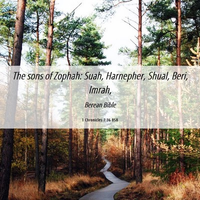 Picture 06 - 1 Chronicles 7:36 BSB - The sons of Zophah: Suah, Harnepher, Shual, Beri, - Bible Verse Picture