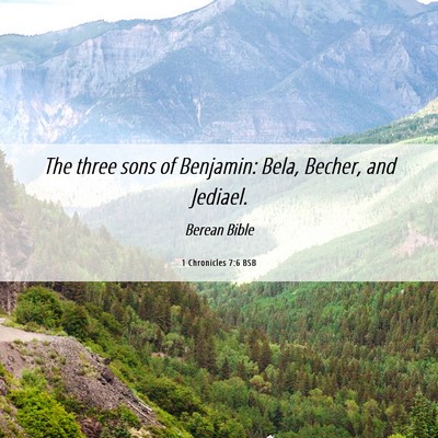 Picture 06 - 1 Chronicles 7:6 BSB - The three sons of Benjamin: Bela, Becher, and - Bible Verse Picture