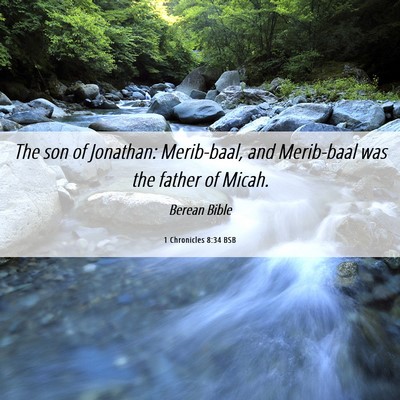 Picture 06 - 1 Chronicles 8:34 BSB - The son of Jonathan: Merib-baal, and Merib-baal - Bible Verse Picture