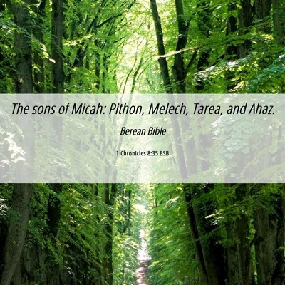 Picture 06 - 1 Chronicles 8:35 BSB - The sons of Micah: Pithon, Melech, Tarea, and - Bible Verse Picture