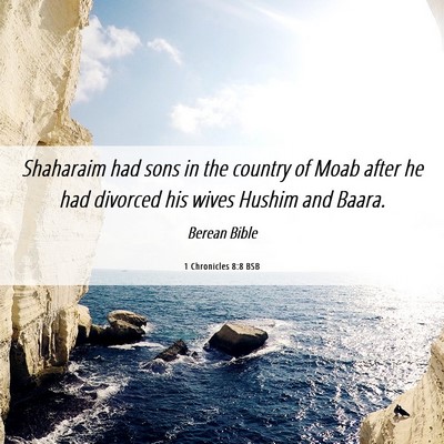Picture 06 - 1 Chronicles 8:8 BSB - Shaharaim had sons in the country of Moab after - Bible Verse Picture