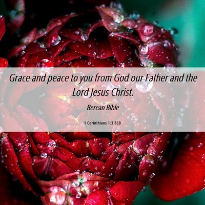 Picture 06 - 1 Corinthians 1:3 BSB - Grace and peace to you from God our Father and - Bible Verse Picture