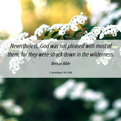 Picture 06 - 1 Corinthians 10:5 BSB - Nevertheless, God was not pleased with most of - Bible Verse Picture