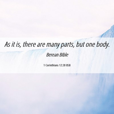 Picture 06 - 1 Corinthians 12:20 BSB - As it is, there are many parts, but one - Bible Verse Picture